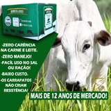30 PCTS 450 G HOMEOGADOS PARASITOS.