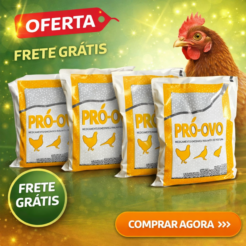 4 PCTS PRÓ-OVO 400 GRAMAS