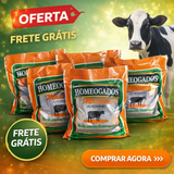 5 PCTS MASTITE 450G